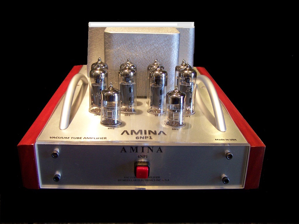 AMINA PA1000 rear panel.