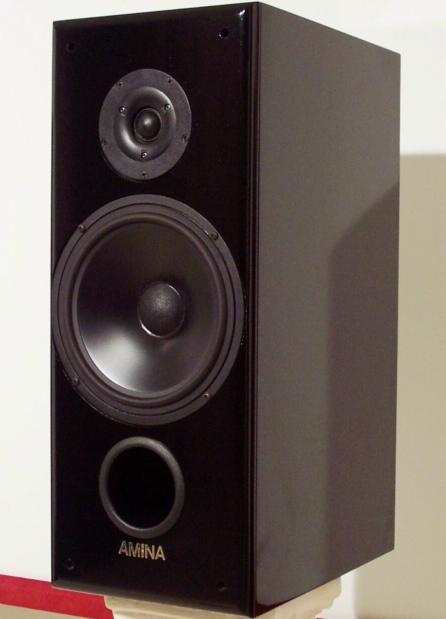 AMINA BS-2 speaker.