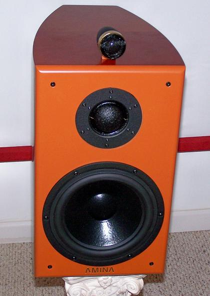 AMINA CR3W speaker.
