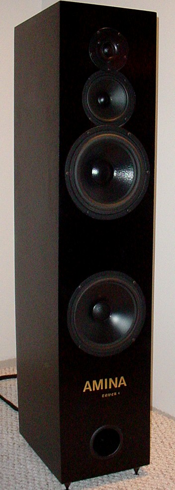 AMINA tower4.